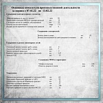 Основные показатели производственной деятельности с 07.02.22 по 13.02.22