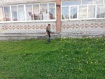 Покос травы